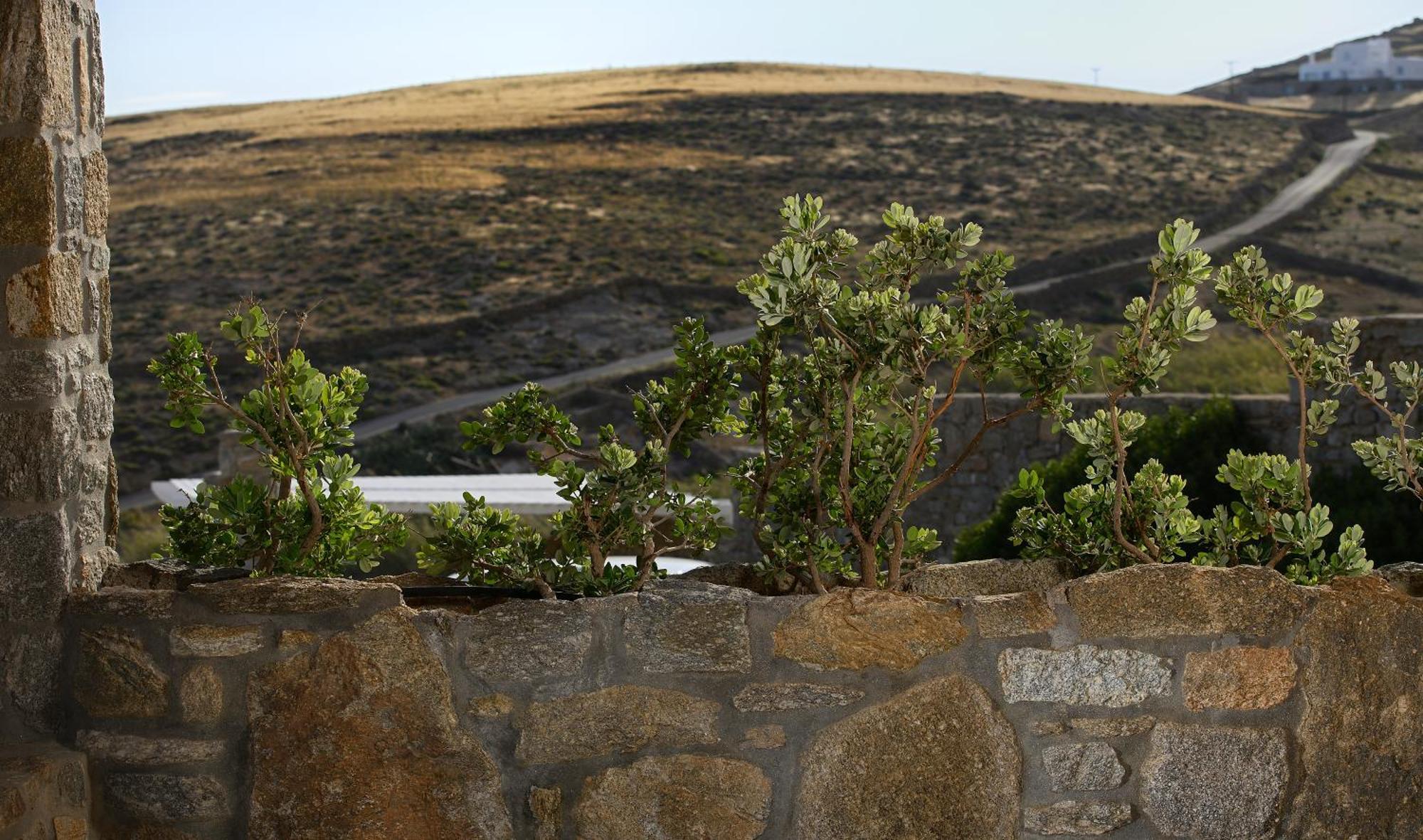Vlia Mykonos Apartment Kalafatis Exterior photo